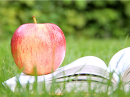 5 thành ngữ tiếng Anh thú vị về trái táo
